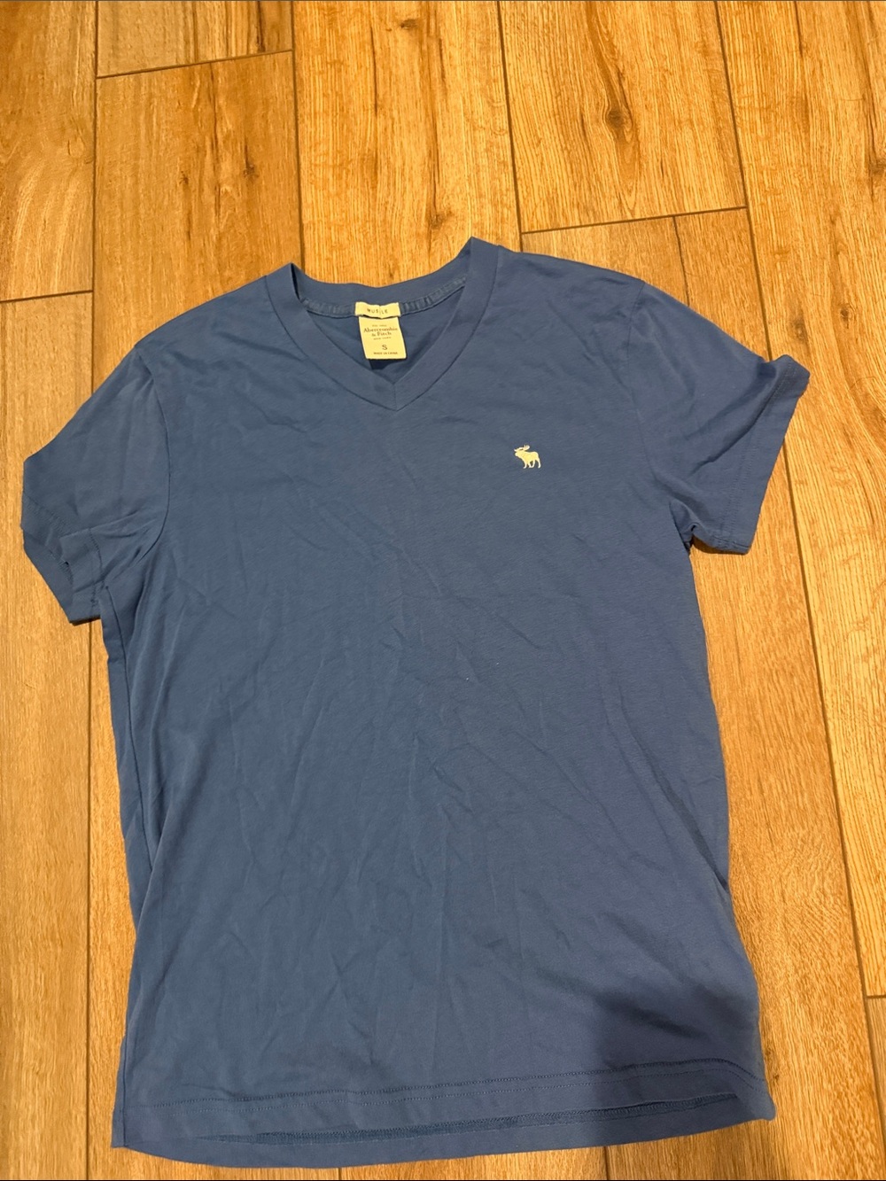 Abercrombie & Fitch Men's V-Neck Tee in Slate Blue